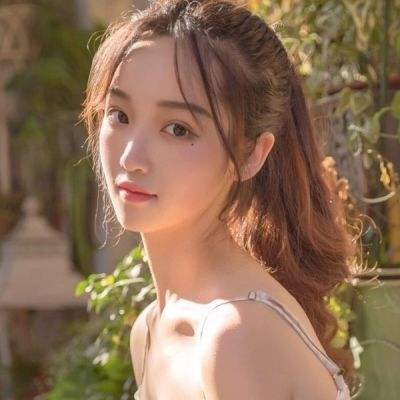 精灵究极进化手机游戏下载